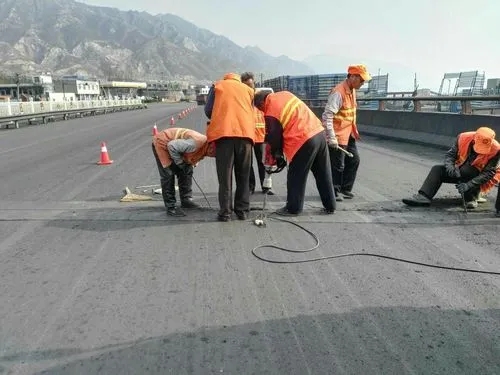 泗阳道路桥梁病害治理